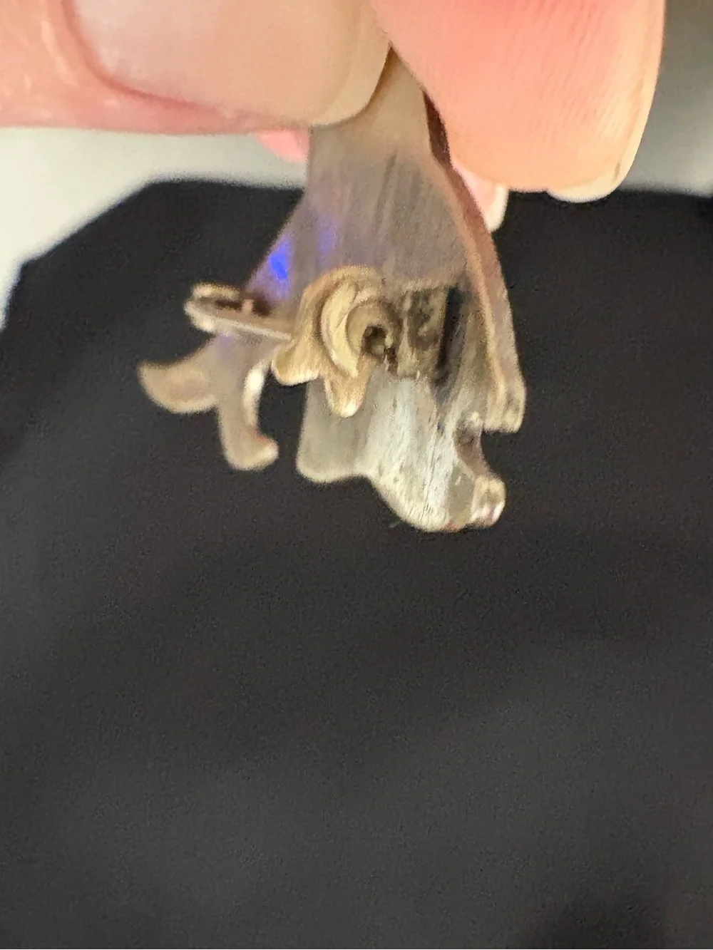 Vintage Alpaca Taxco likely Mexican Silver Abalone fish pin